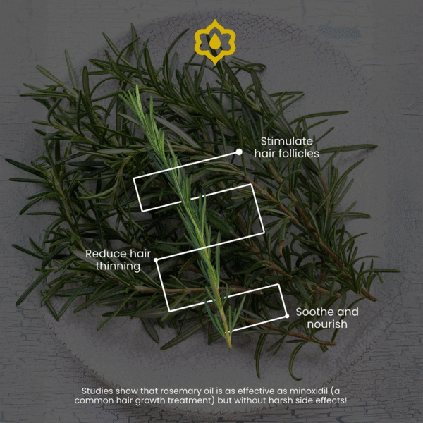 A sprig of rosemary rests on a plate, with labelled boxes showing its benefits: boosts hair growth, stops dandruff, and remains kind & gentle. Text below highlights that rosemary oil matches minoxidil for hair growth.